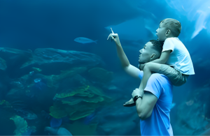 Dubai Aquarium Underwater Zoo 3